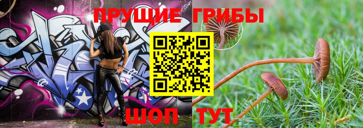 Елизово  Галлюциногенные грибы MAGIC MUSHROOMS  Вход с VPN  Псилоцибиновые грибы мицелий 